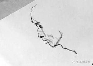 史国良爆料视频,揭秘爆料视频背后的惊人真相  第2张